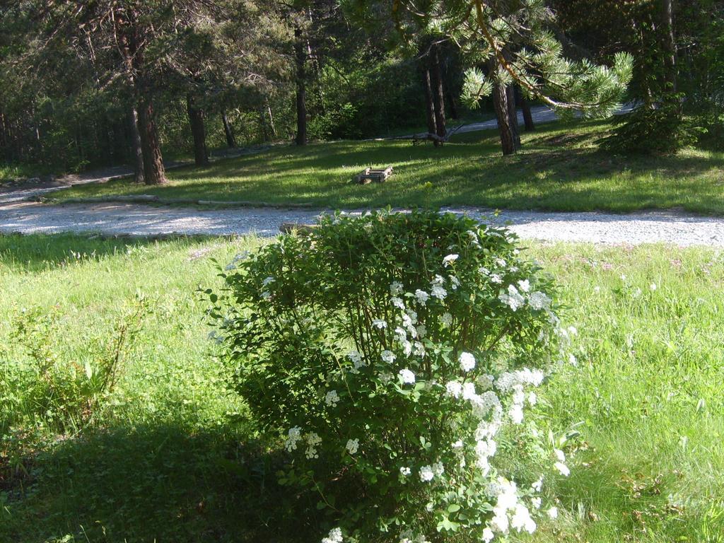 Domaine De Lara Bed & Breakfast Barcelonnette Dış mekan fotoğraf